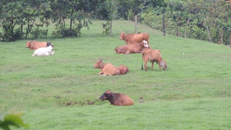 Ana María González, asesora de relaciones internacionales de la Gobernación