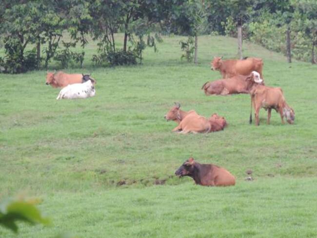Ana María González, asesora de relaciones internacionales de la Gobernación