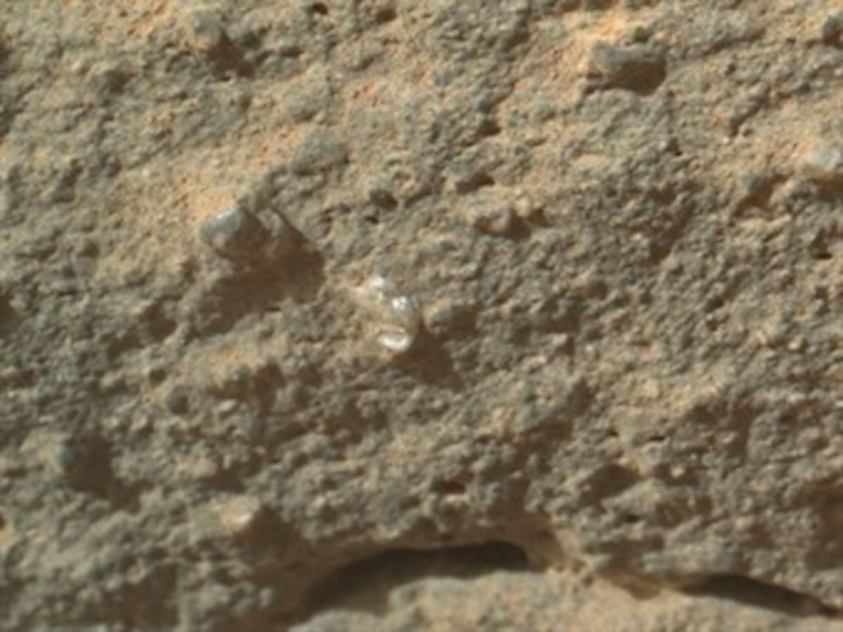 El robot Curiosity habría encontrado una flor en Marte