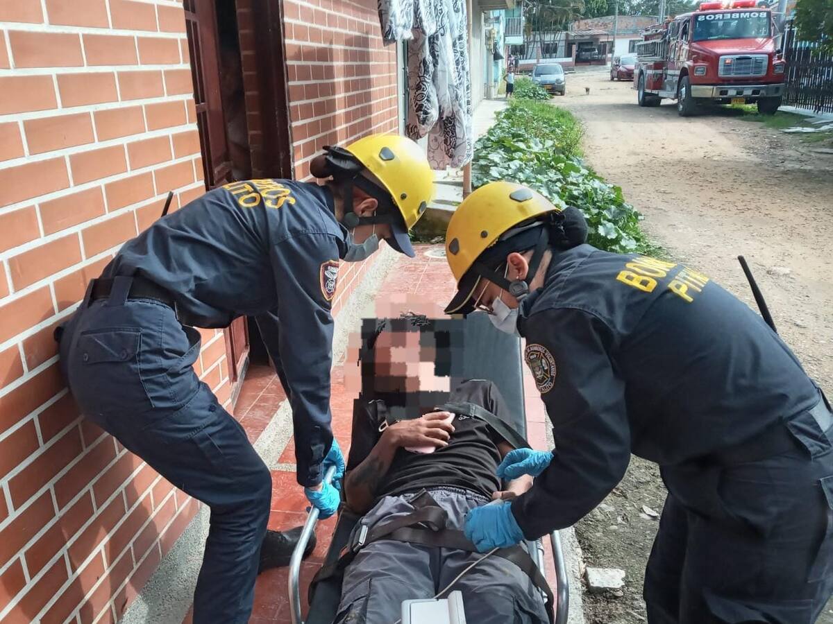 Dos heridos dejó ataque de abejas en Pitalito, sur del Huila