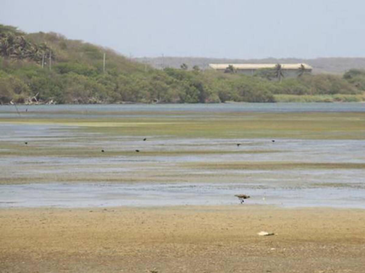 9 de cada 10 colombianos pide medidas climáticas más estrictas