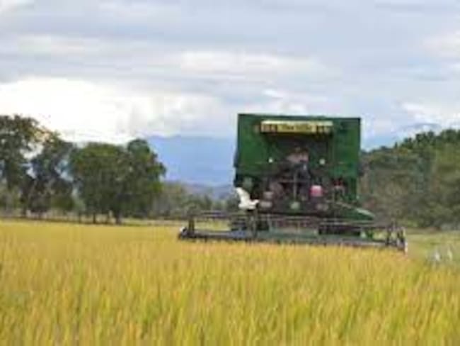 La situación se vuelva critica.