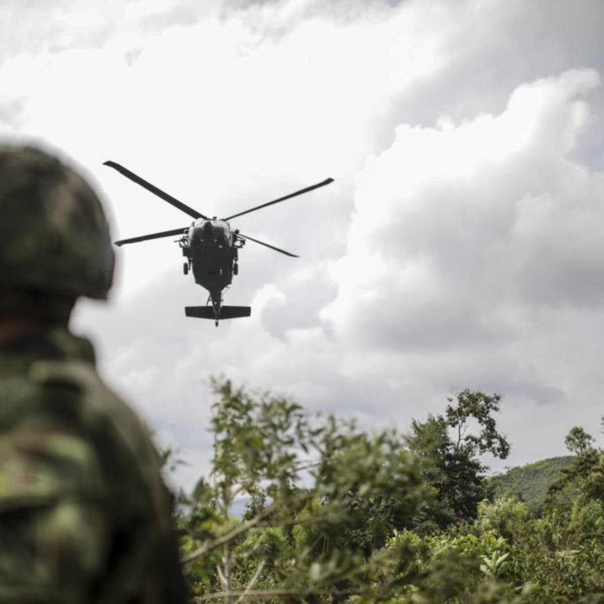 Análisis: ¿Qué implica para Colombia perder la certificación de EE.UU. en la lucha antidrogas?