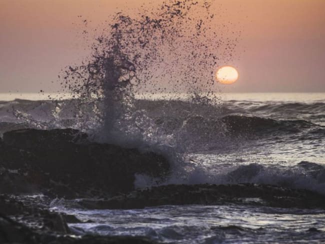 Imagen de referencia