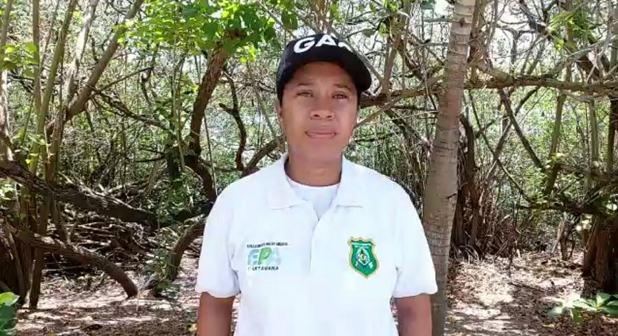 Alcaldía de Cartagena