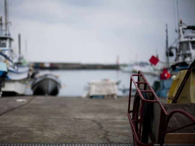 Naufragio de barco turístico en Japón deja diez muertos y 16 desaparecidos