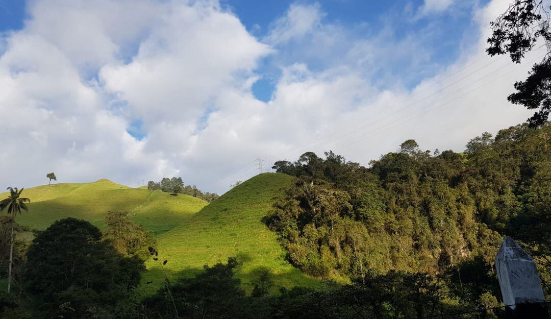 Hermosos paisajes del Quindío en medio del aislamiento obligatorio