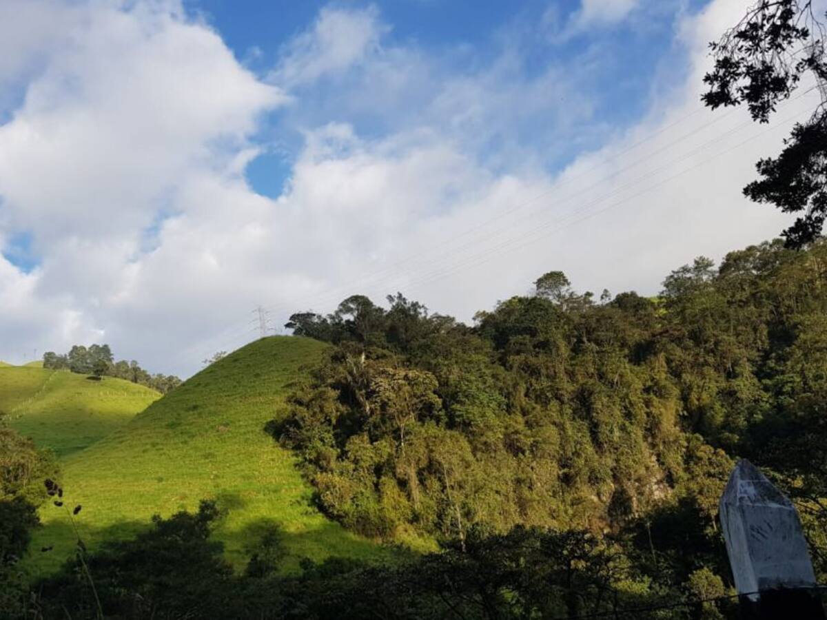 Las noticias más importantes de Armenia y el Quindío, lunes 8 de junio