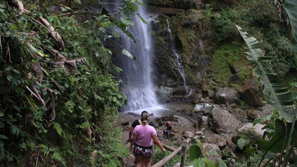 Coronel Policía Quindío y hurtos en zona rural