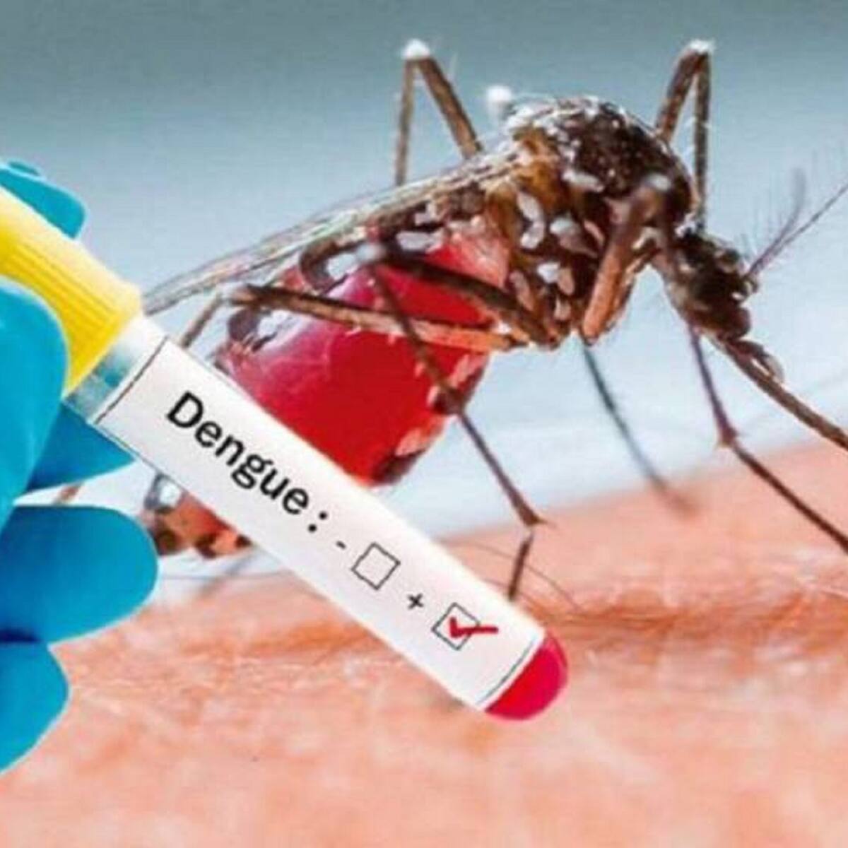 Medellín está en alerta por el riesgo de un brote de dengue