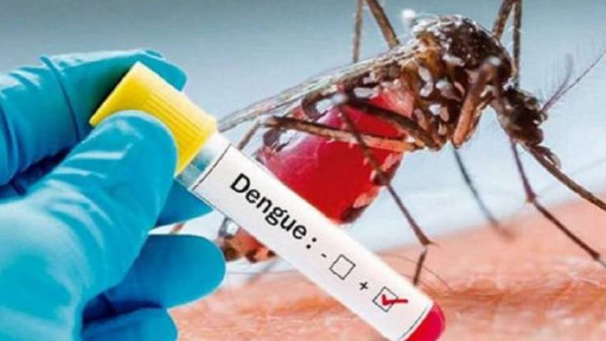 En lo que va del año se tiene un registro de 52.586 casos probables de Dengue en Colombia