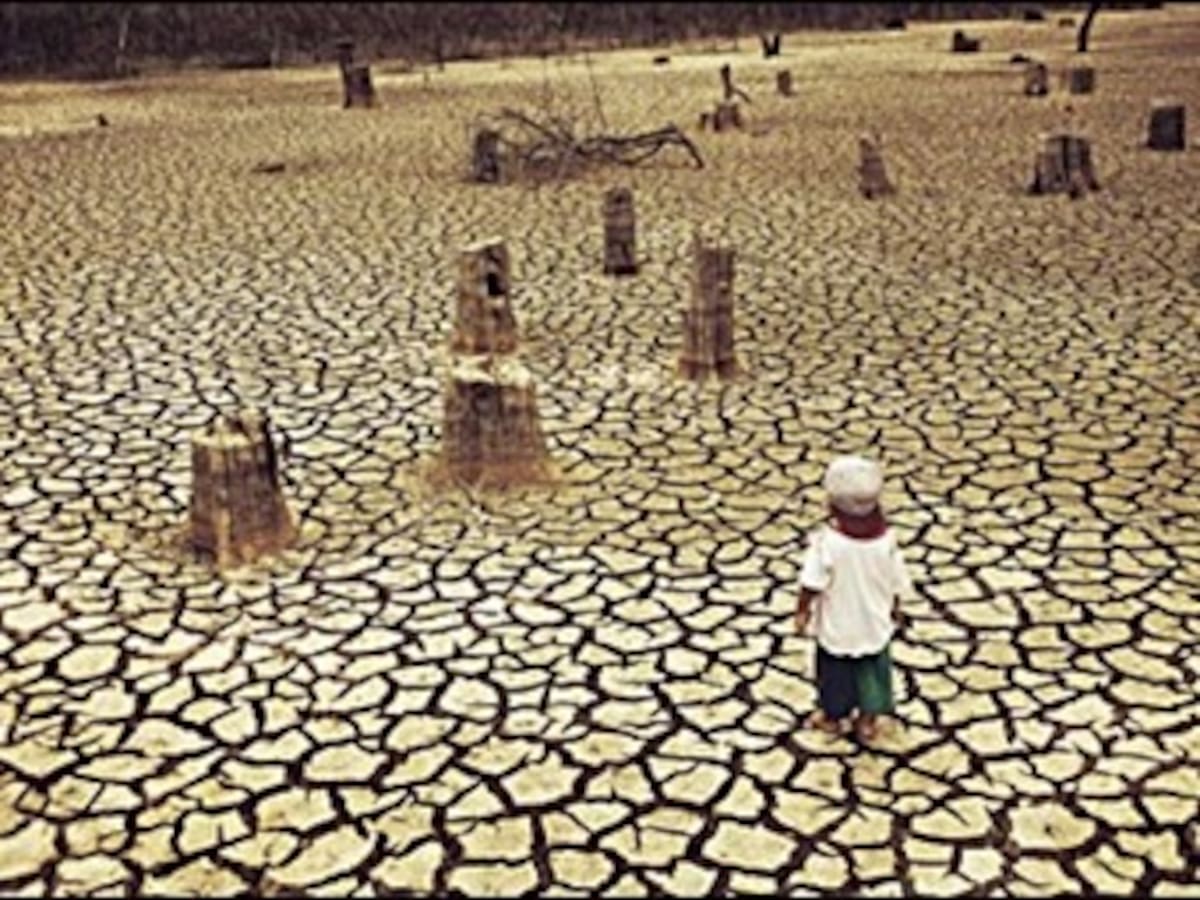 La alianza de ecologistas y empresas indonesias hace frente a deforestación