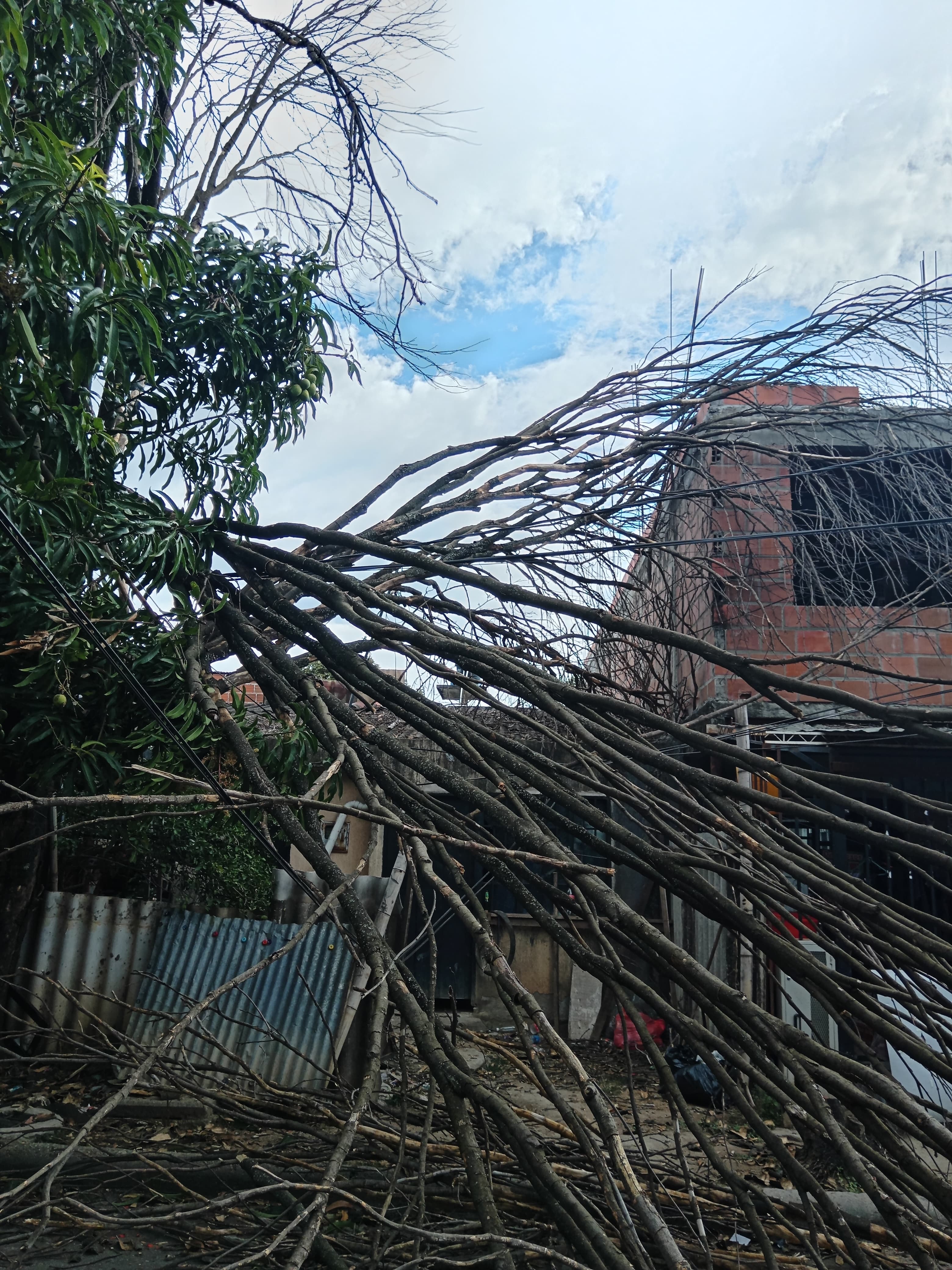 Vientos también ocasionaron la caída de cuerdas. Foto Bomberos Neiva.