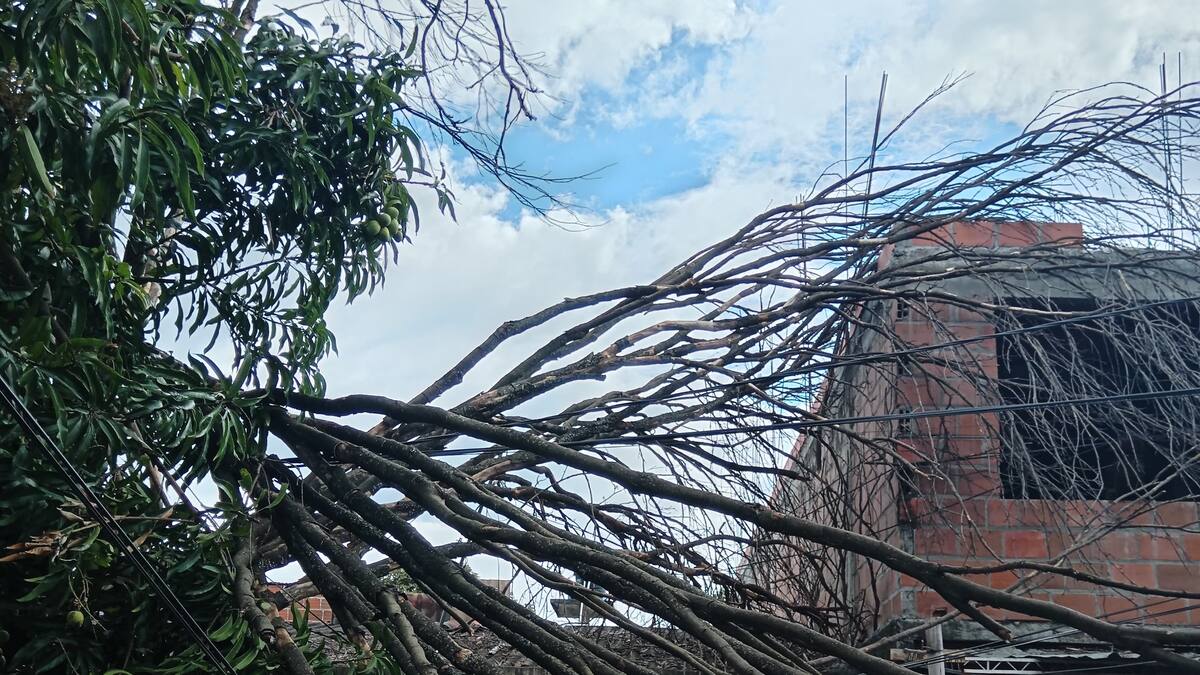 Fuertes vientos provocan emergencias en varios sectores de Neiva