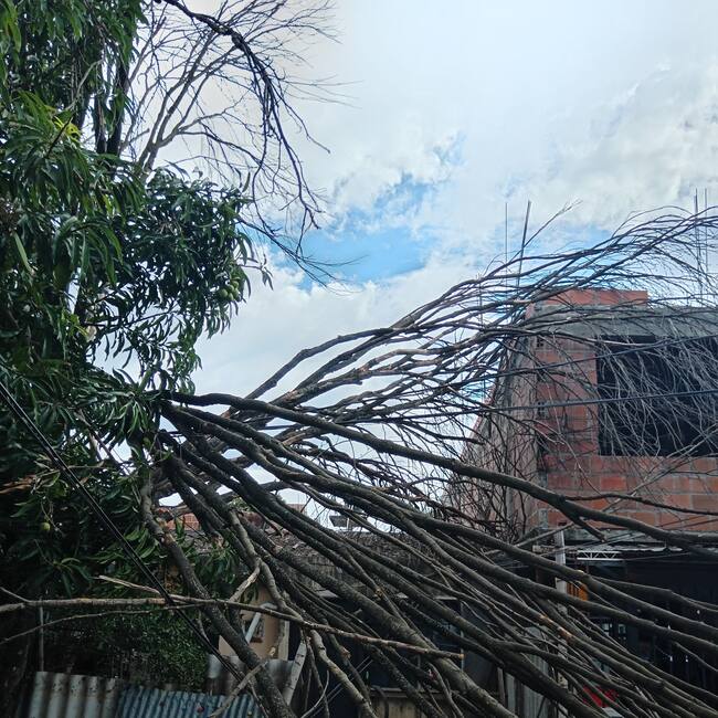 Vientos también ocasionaron la caída de cuerdas. Foto Bomberos Neiva.