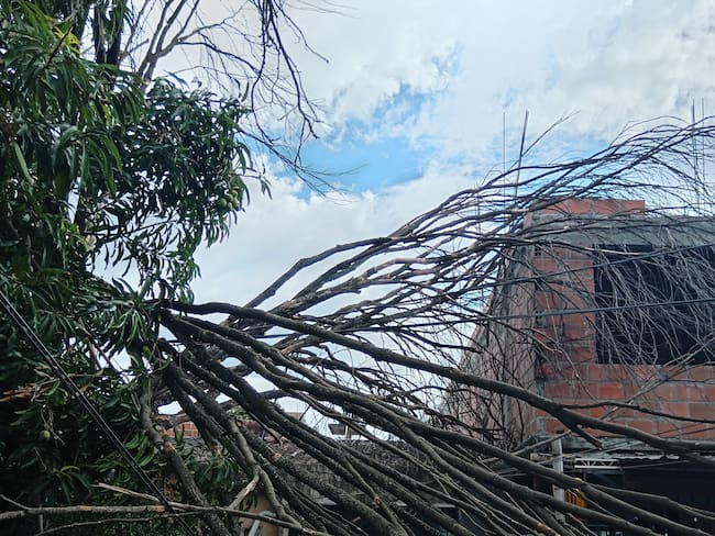 Vientos también ocasionaron la caída de cuerdas. Foto Bomberos Neiva.