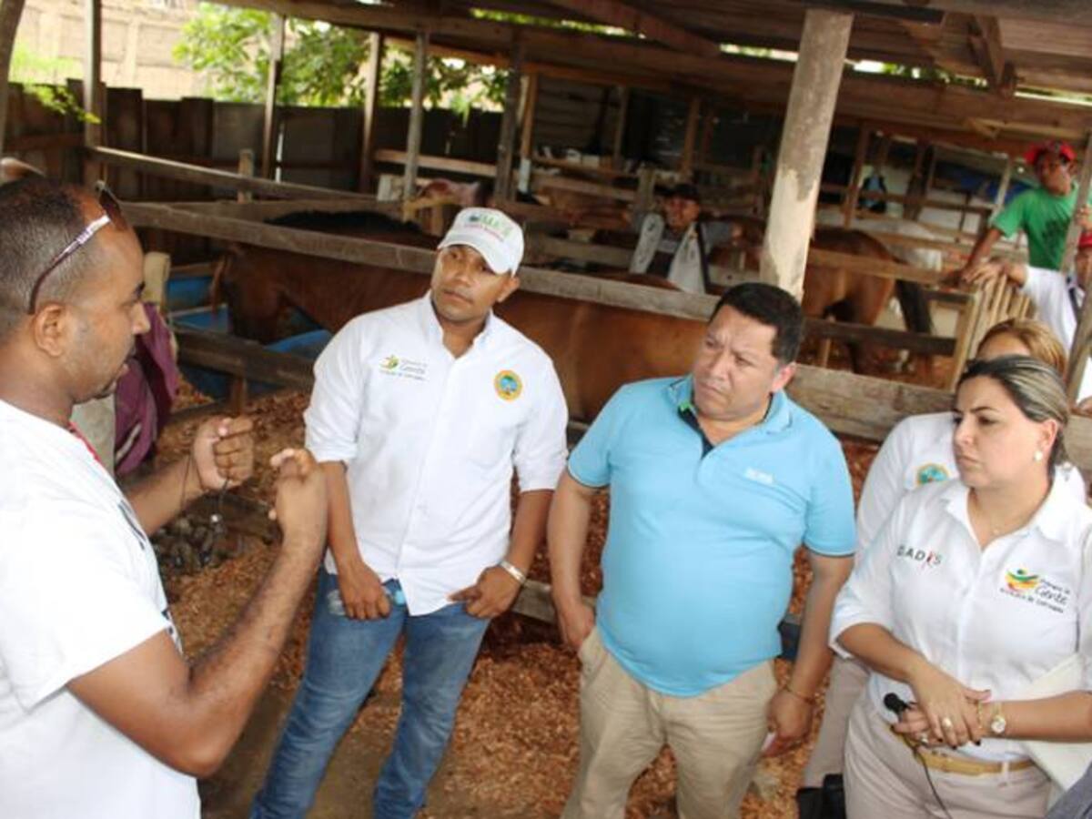 Alcaldía de Cartagena inspecciona pesebreras de Marbella