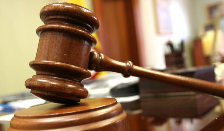 Imagen de referencia 