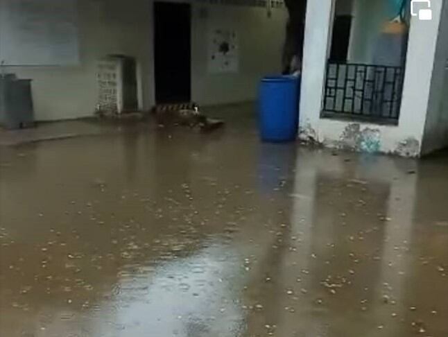 Crédito: Suministrada.