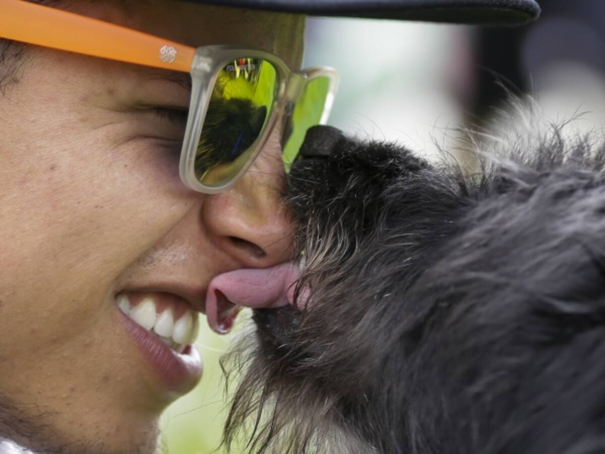 #AdoptatónDeAmor se toma Bogotá