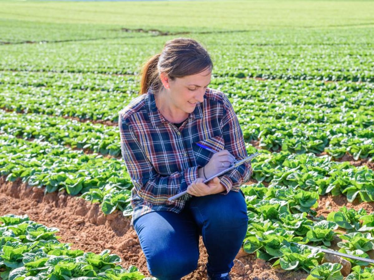 Las miradas de los jóvenes apuntan al sector agropecuario