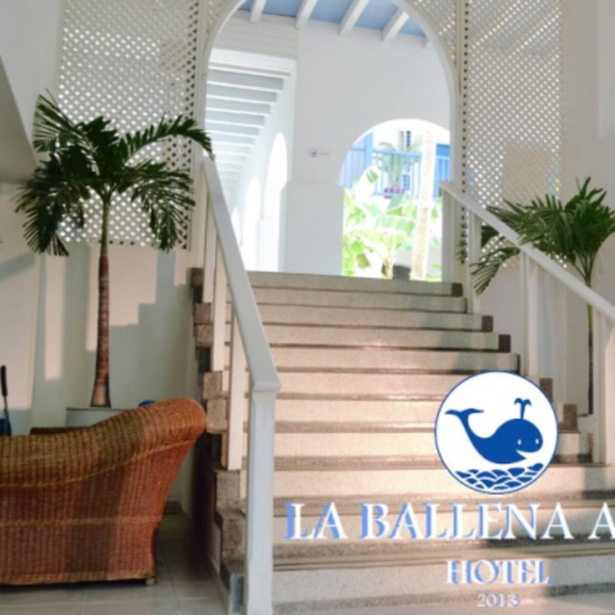 En Fotos: Hotel La Ballena Azul