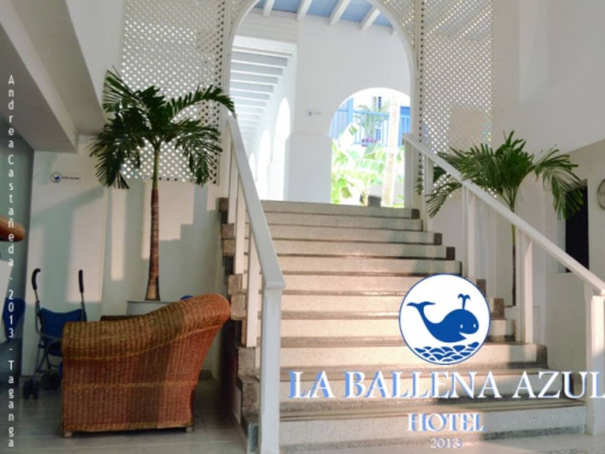 En Fotos: Hotel La Ballena Azul