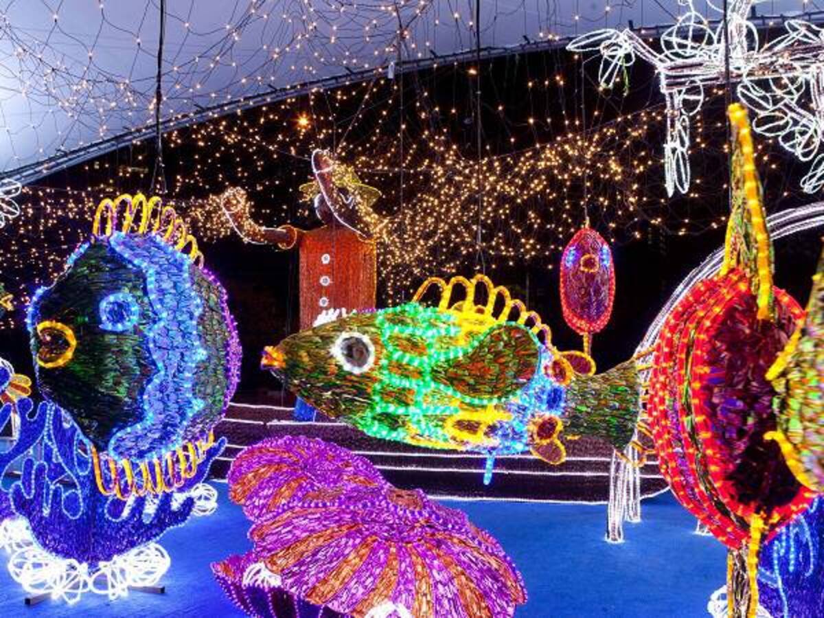 Medellín prende su navidad