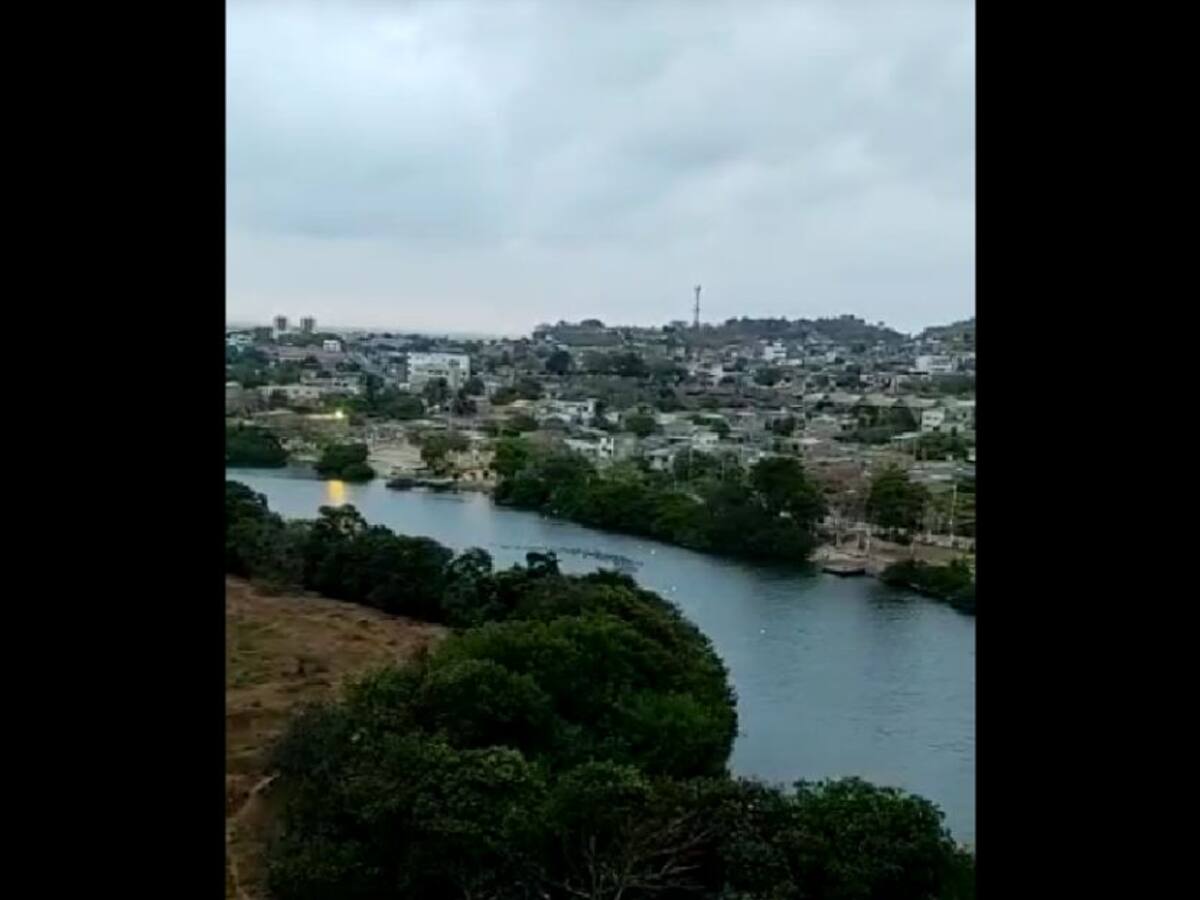 Delfines y patos son avistados en aguas cartageneras