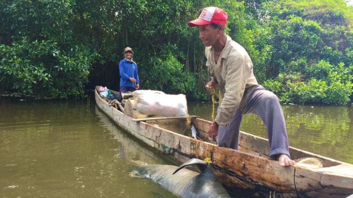 Deterioro ambiental en la CGSM está afectando a los pueblos palafitos
