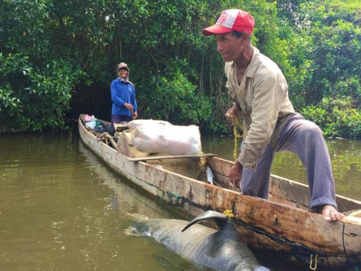 Deterioro ambiental en la CGSM está afectando a los pueblos palafitos