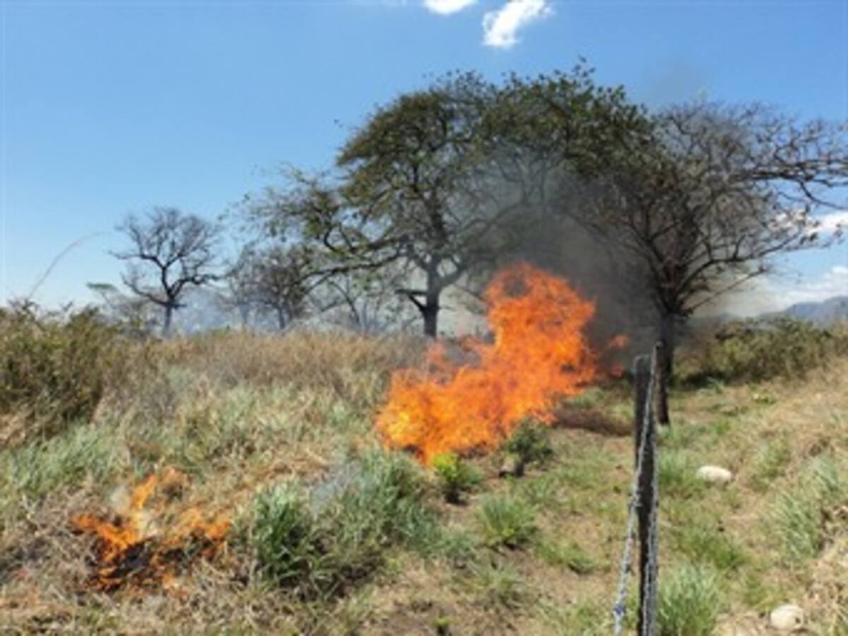​Ganaderos de Boyacá dicen que solo hay agua y alimento para un mes