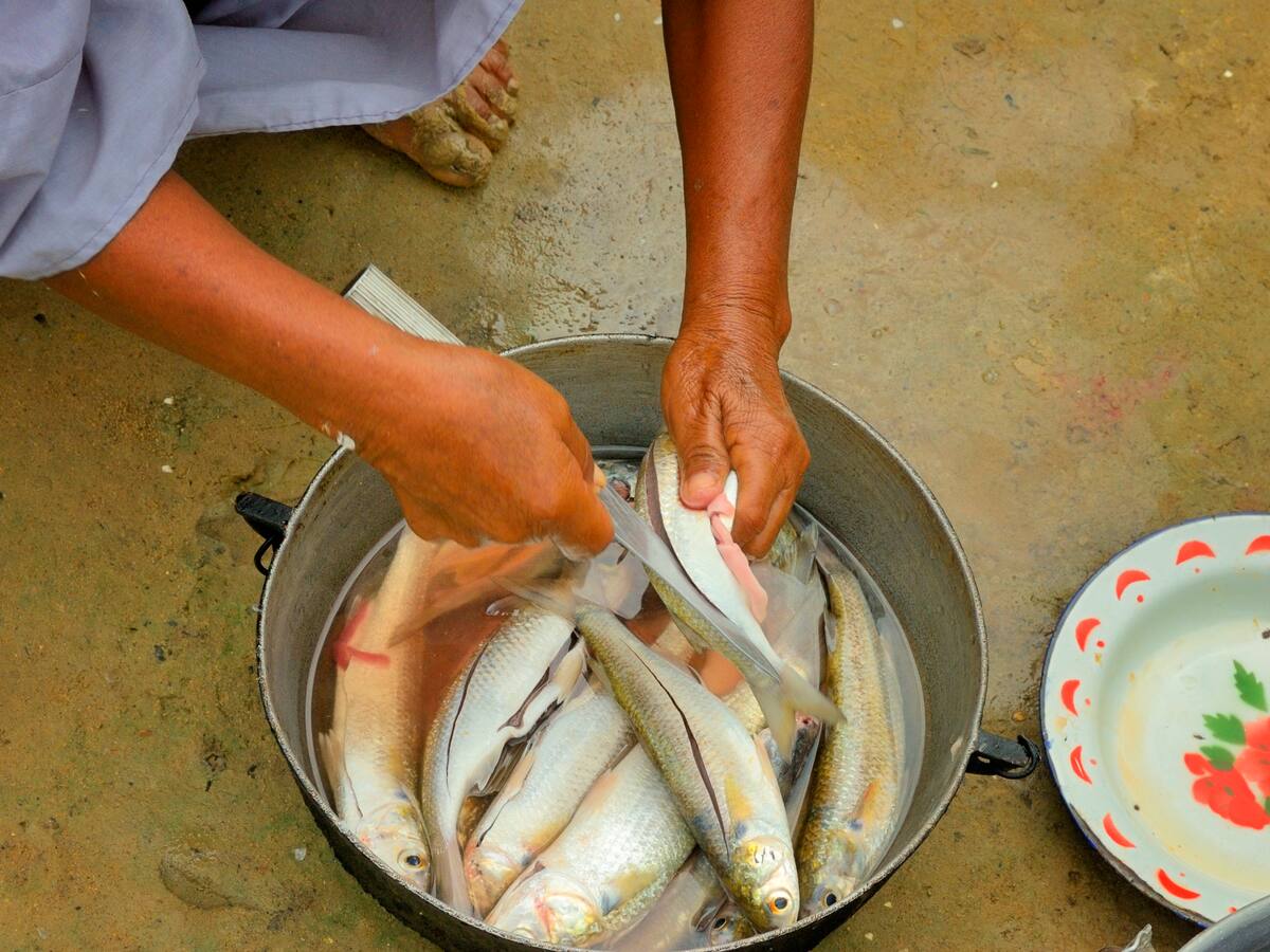 ¿La ha probado? Esta es la comida típica de La Guajira que sorprende con su sabor