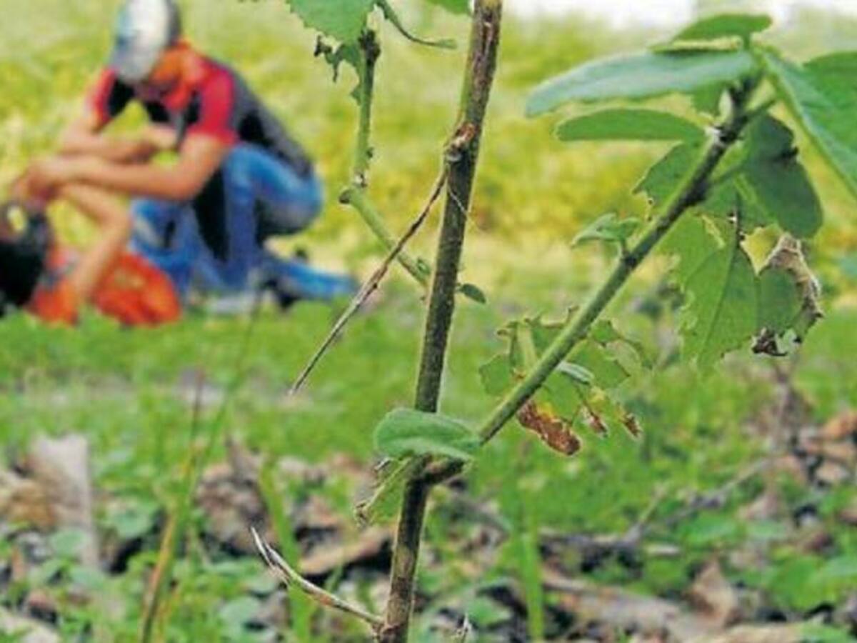 Capturan a presunto violador y asesino de mujer embarazada en Florencia, Caquetá