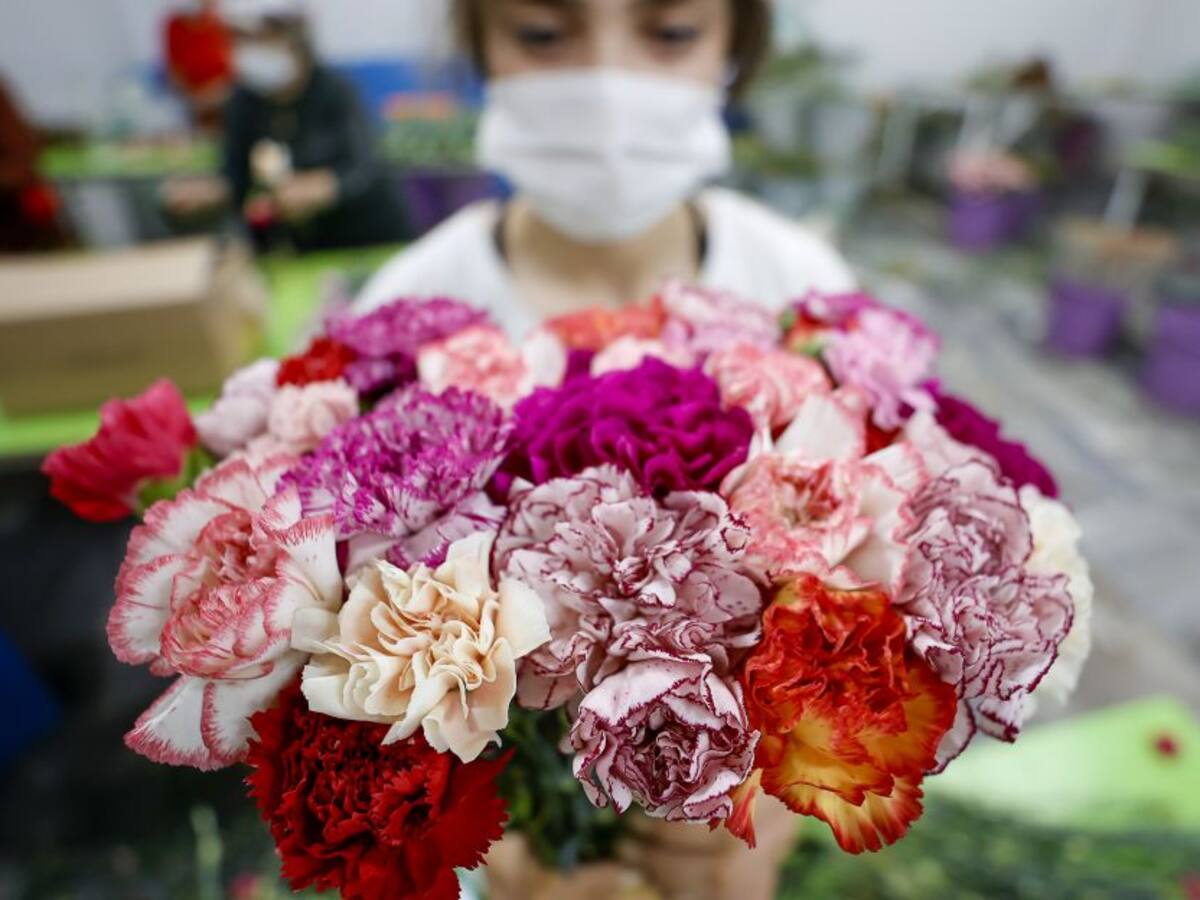 Fenalco: Aumentó intención de colombianos por celebrar el Mes de las Madres