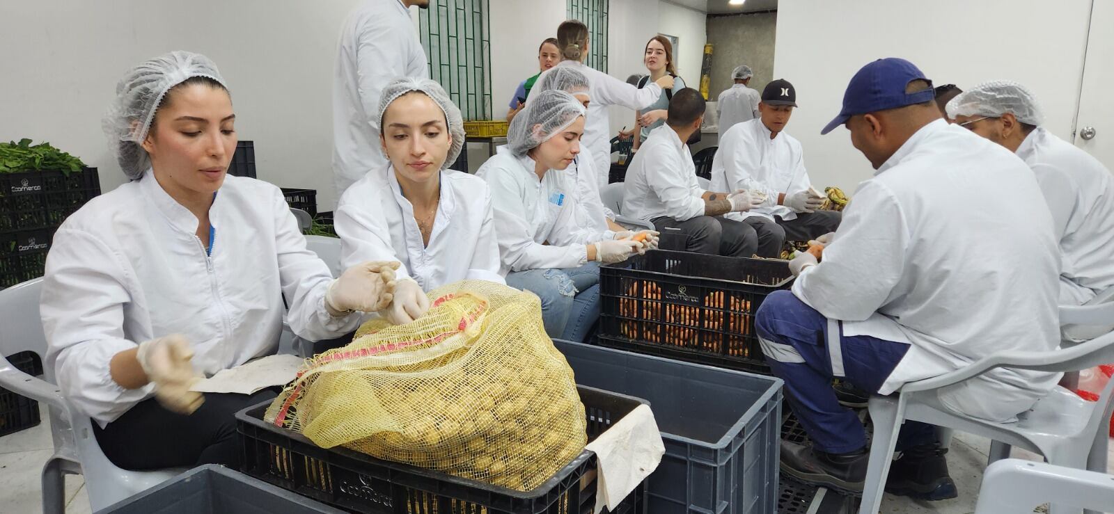 Recuperación de alimentos de las plazas de mercado de Medellín. Foto: Alcaldía