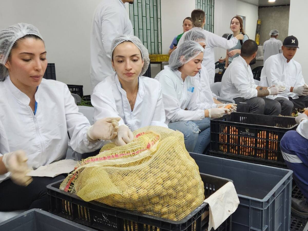 Más de 77 toneladas de alimentos fueron recuperadas de las plazas de mercado de Medellín