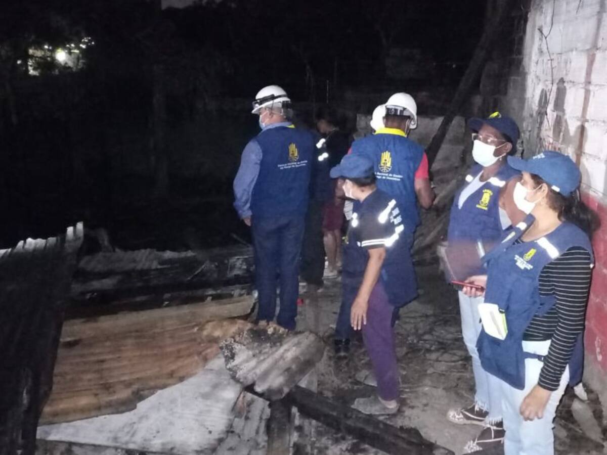 Incendios forestales y abejas, las emergencias más frecuentes en enero