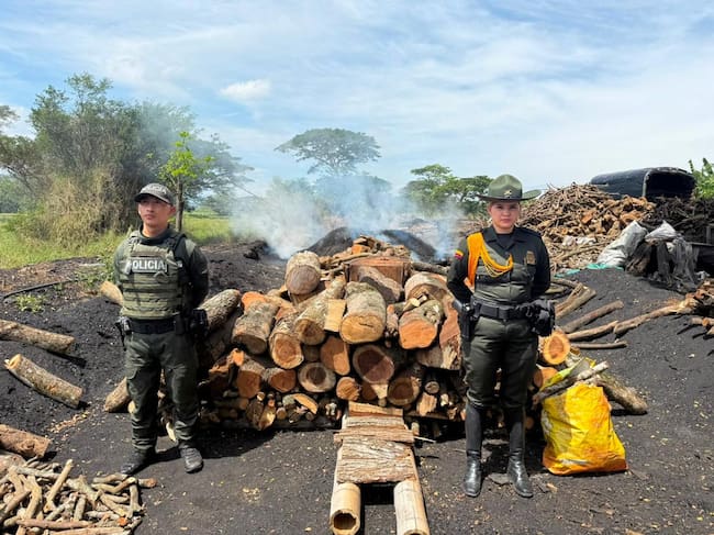 Cinco capturados y más de 121 metros cúbicos de carbón incautados en el norte del Valle del Cauca. Foto: Policía.