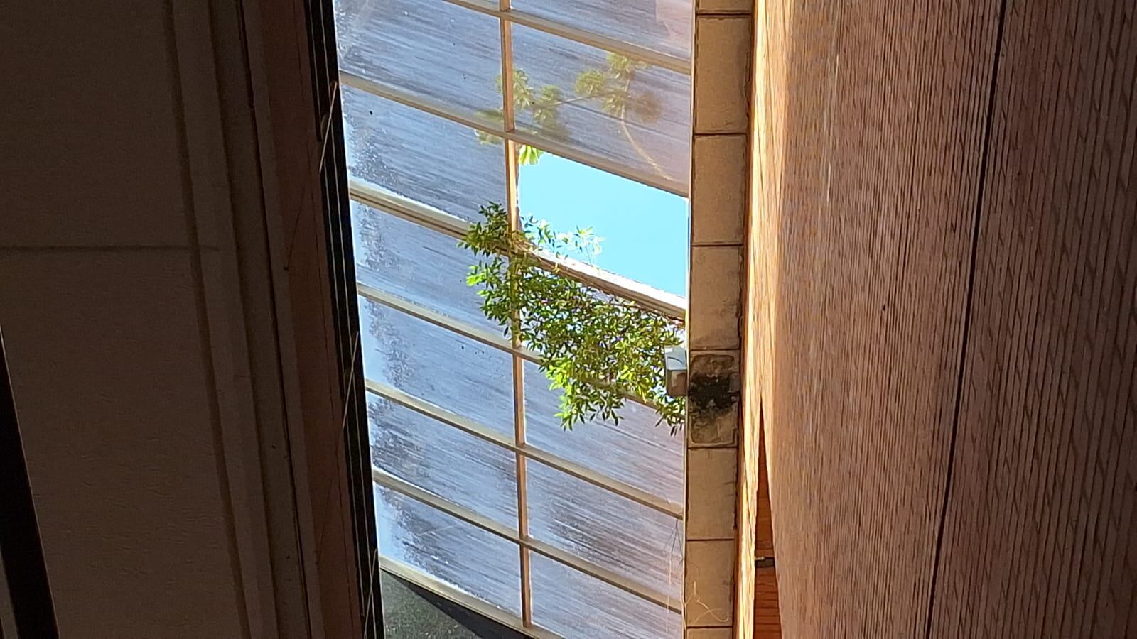 Colegio Nacional de Comercio