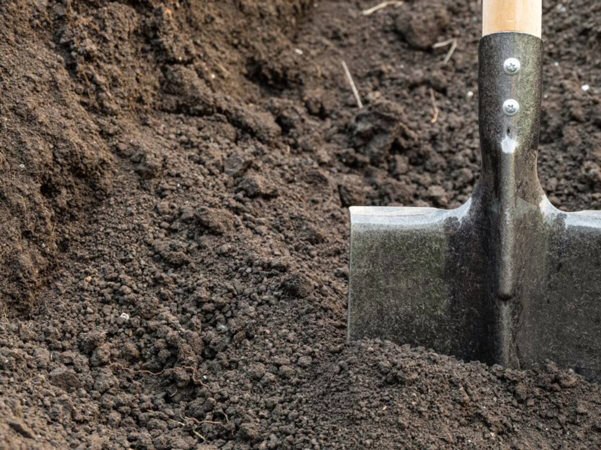 Adulto mayor se enterró vivo en el patio de su vivienda en Usme