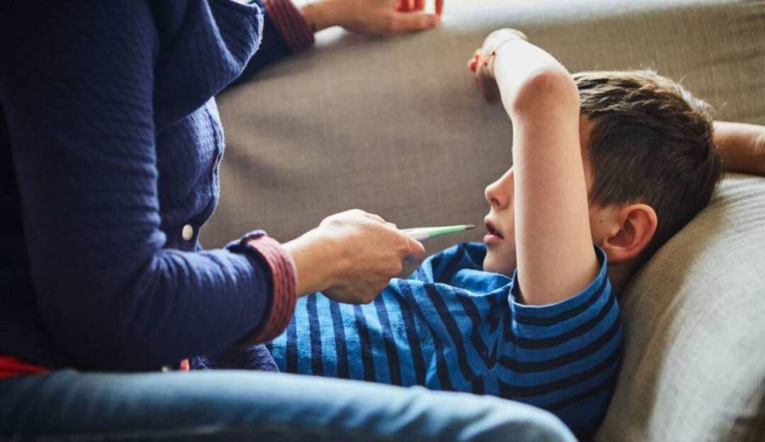 Imagen de referencia 