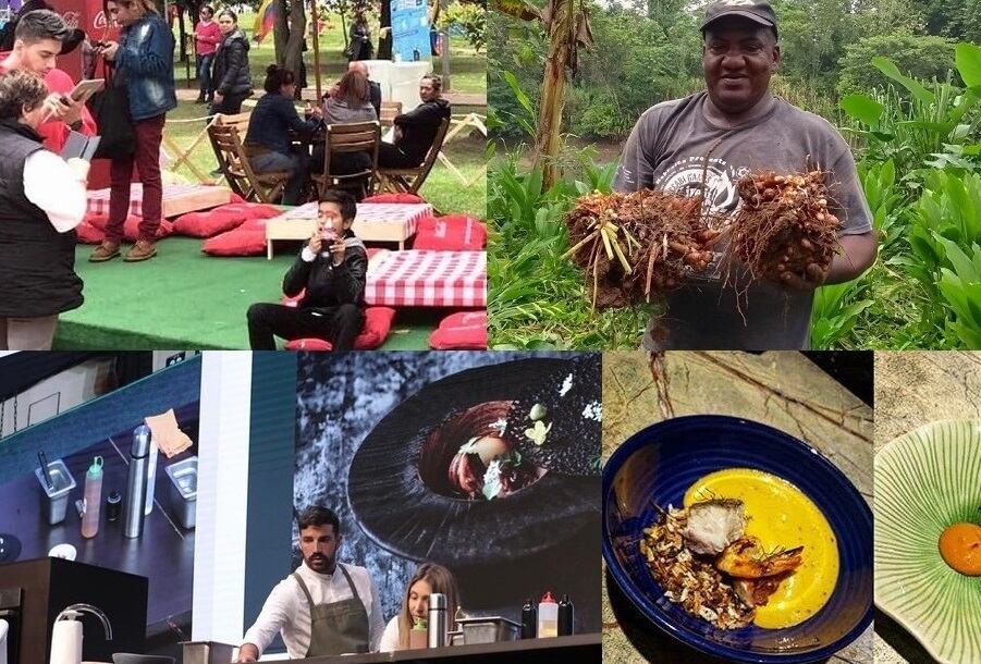 Gastronomía, cultura y diversión, por una gran causa social