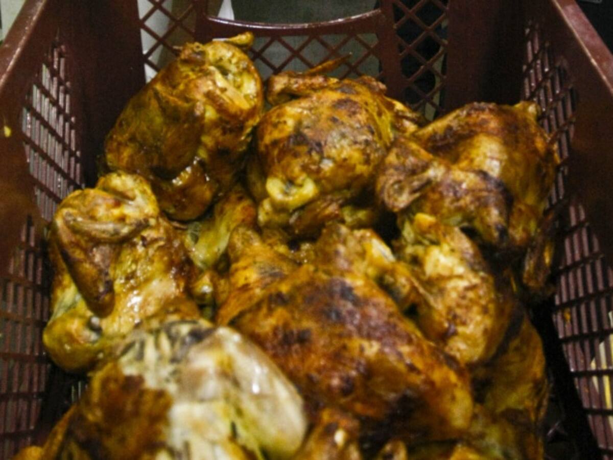 ONG protectora de animales denuncia maltrato de pollos en la industria avícola