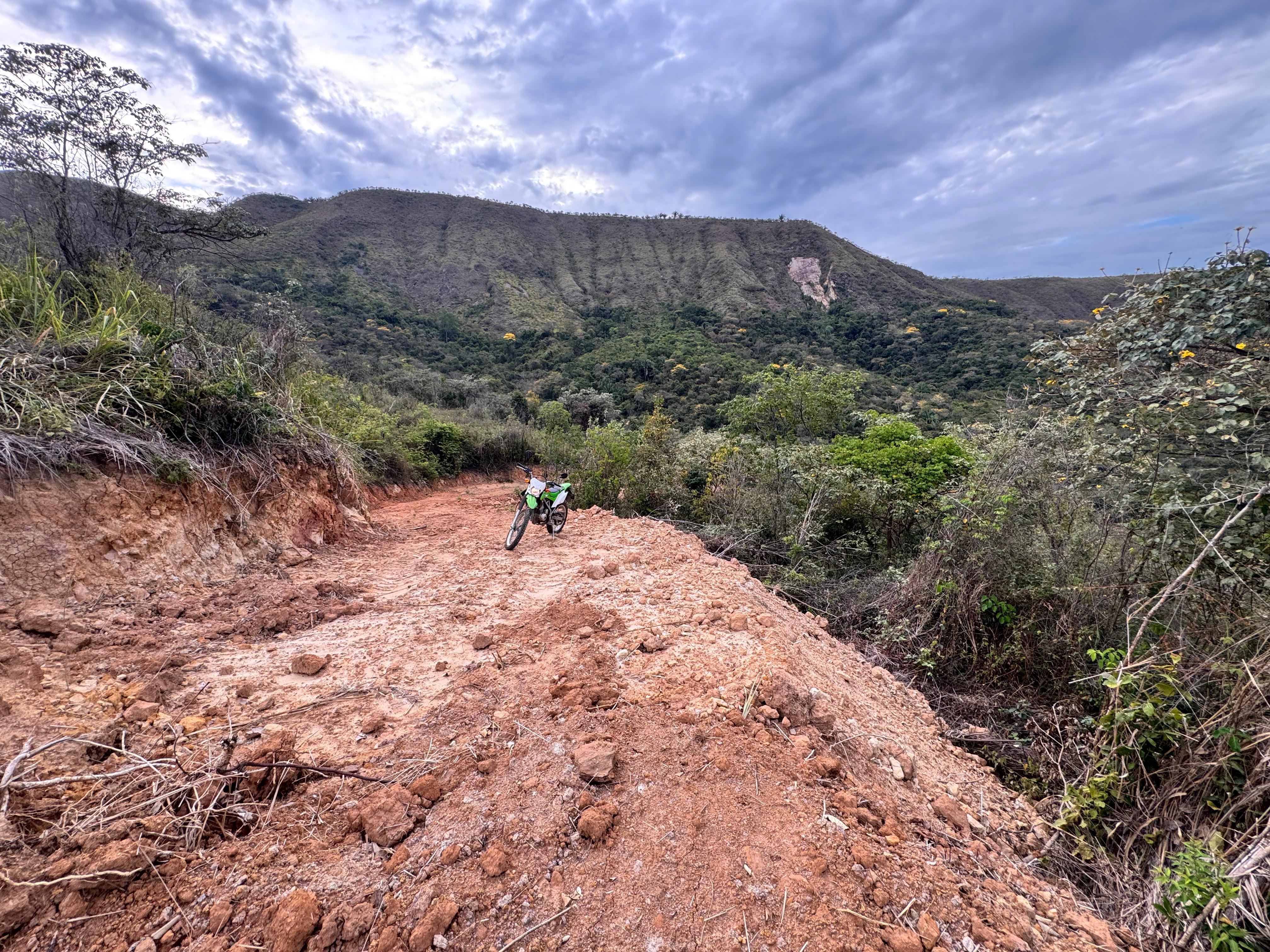 Zona protectora intervenida en el Carmen de Apicalá, Tolima