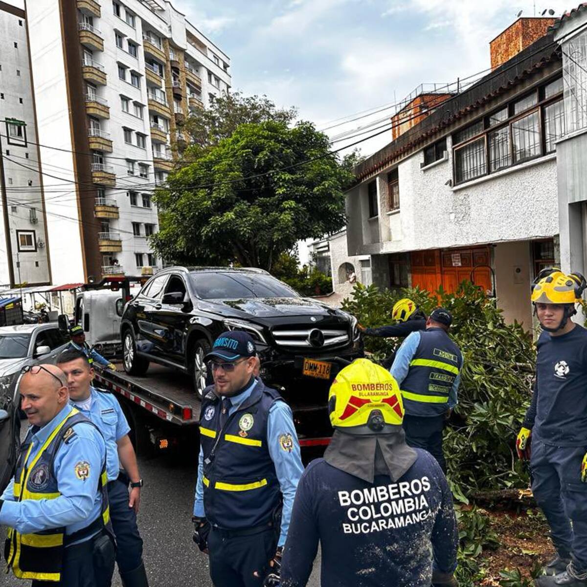 Conductor en estado de embriaguez tumbó un árbol y lesionó a un peatón en carro de alta gama