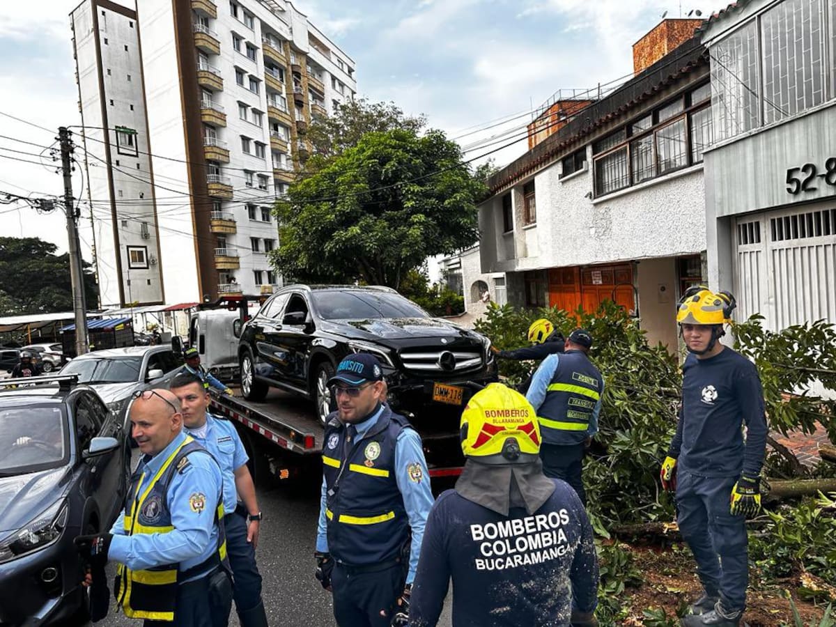 Conductor en estado de embriaguez tumbó un árbol y lesionó a un peatón en carro de alta gama