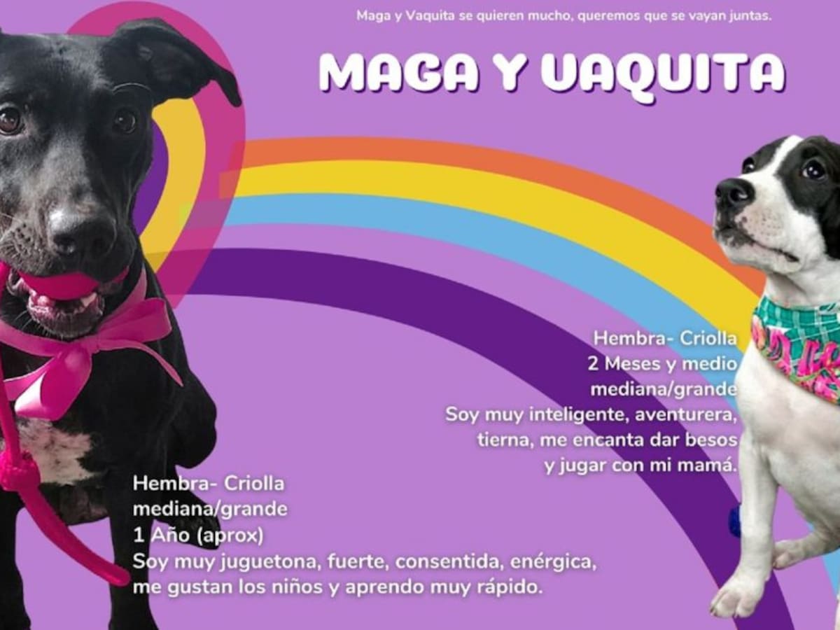 Maga y Vaquita
