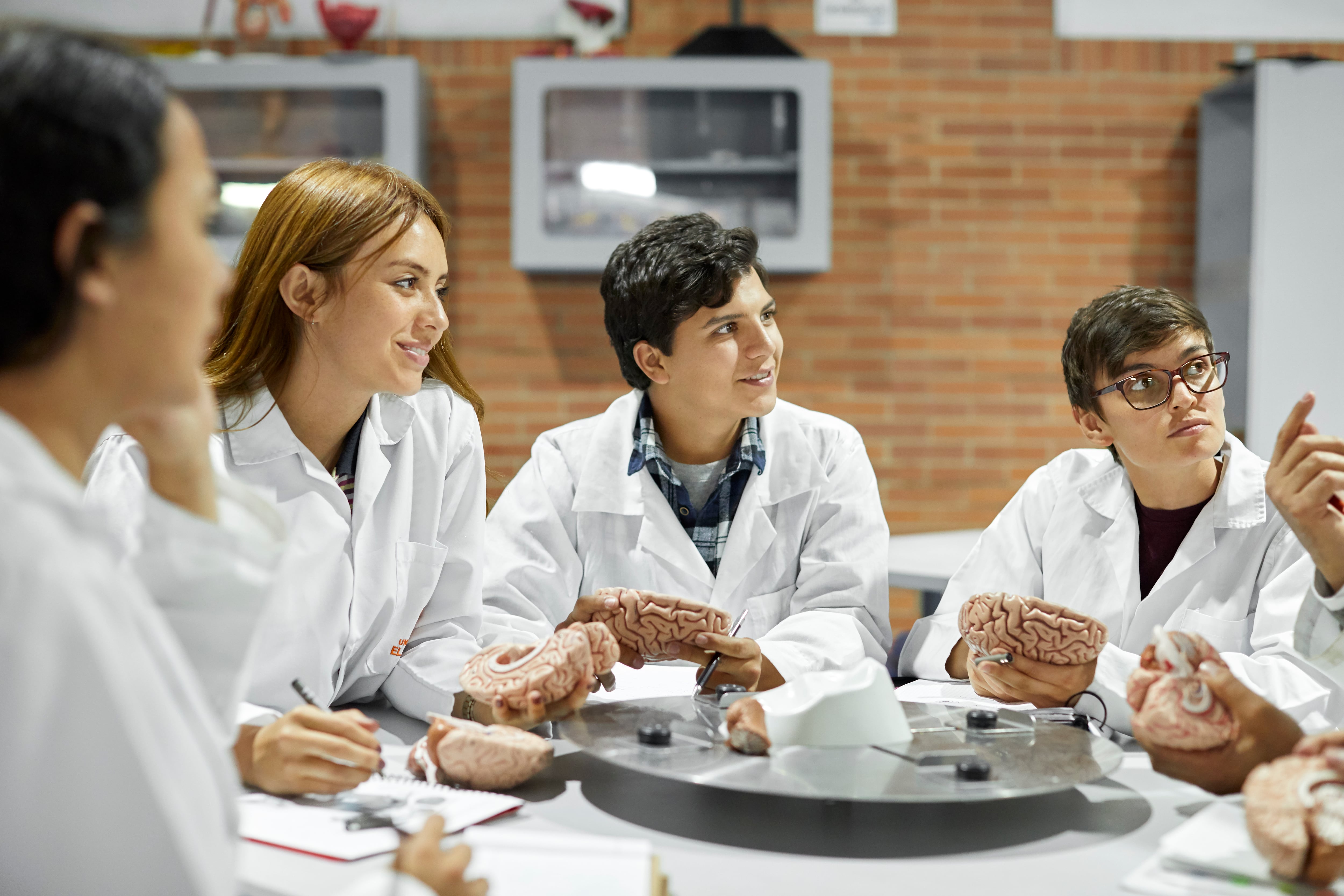 Estudiantes aprendiendo sobre la anatomía del cerebro en clase de anatomía (Foto vía Getty Images)