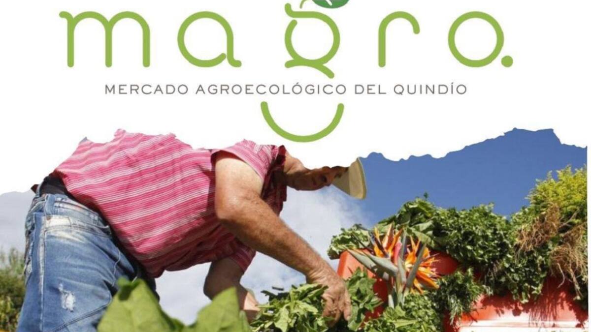 Juan Sebastián Angarita coordinador del mercado